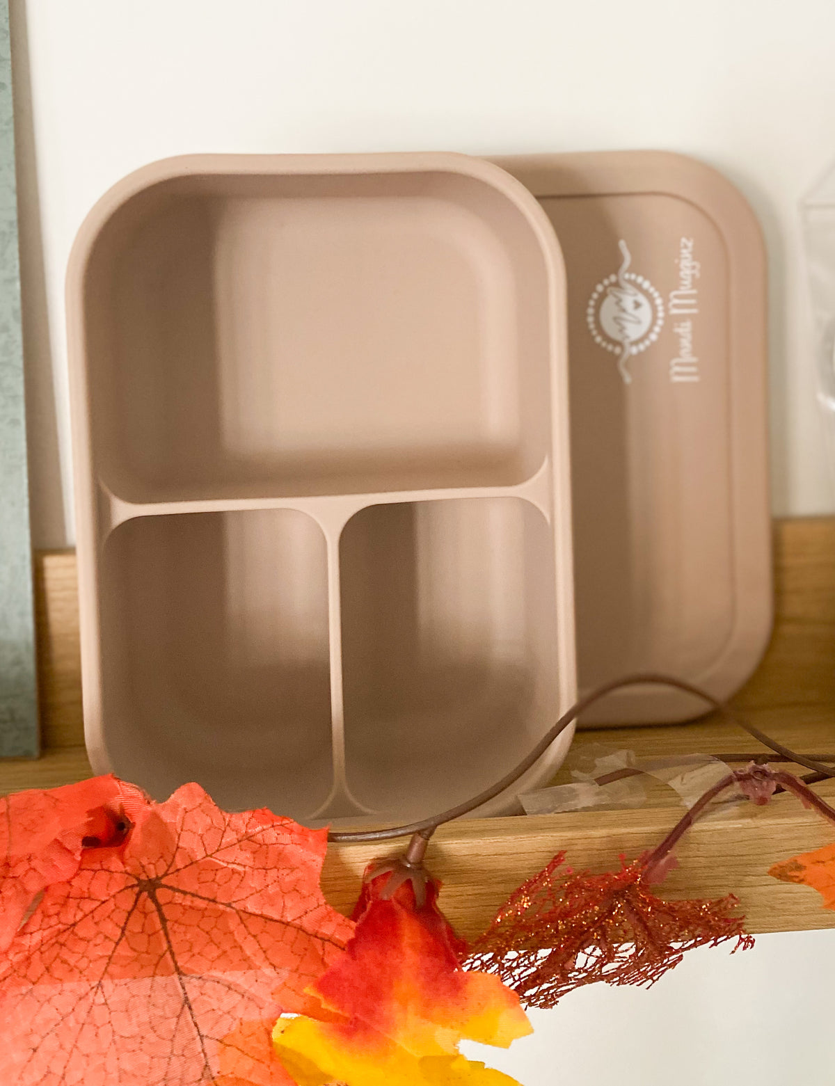Silicone Bento Boxes